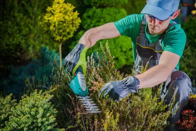 landscaping services Scio
